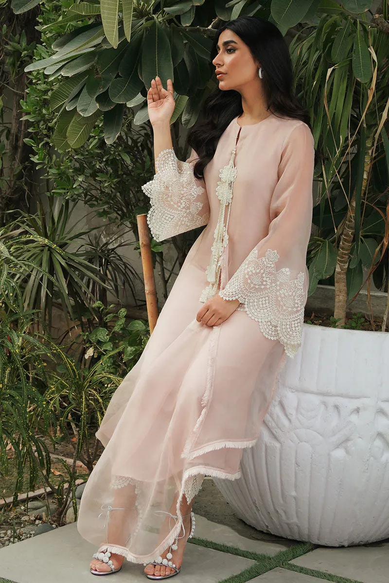 Azure Eid Edit '24 - Begonia