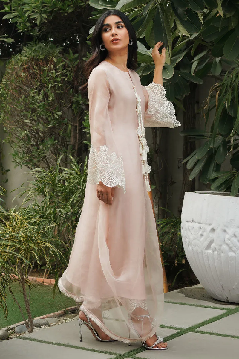 Azure Eid Edit '24 - Begonia