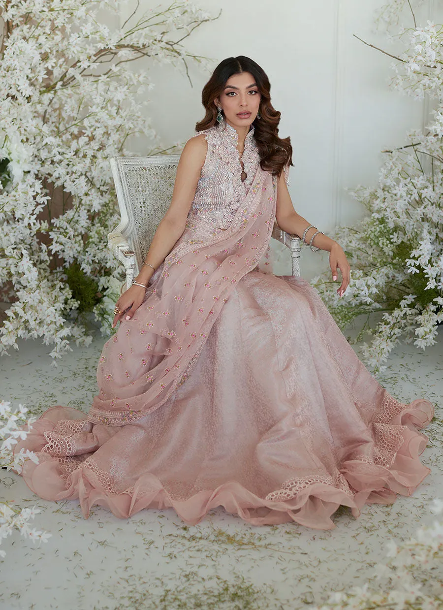 WINONA PINK LEHNGA SAREE